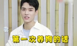 龚俊爆料自己的住所视频,揭秘明星豪宅内部细节