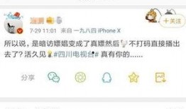四川卫视爆料人回应视频,事件背后真相曝光